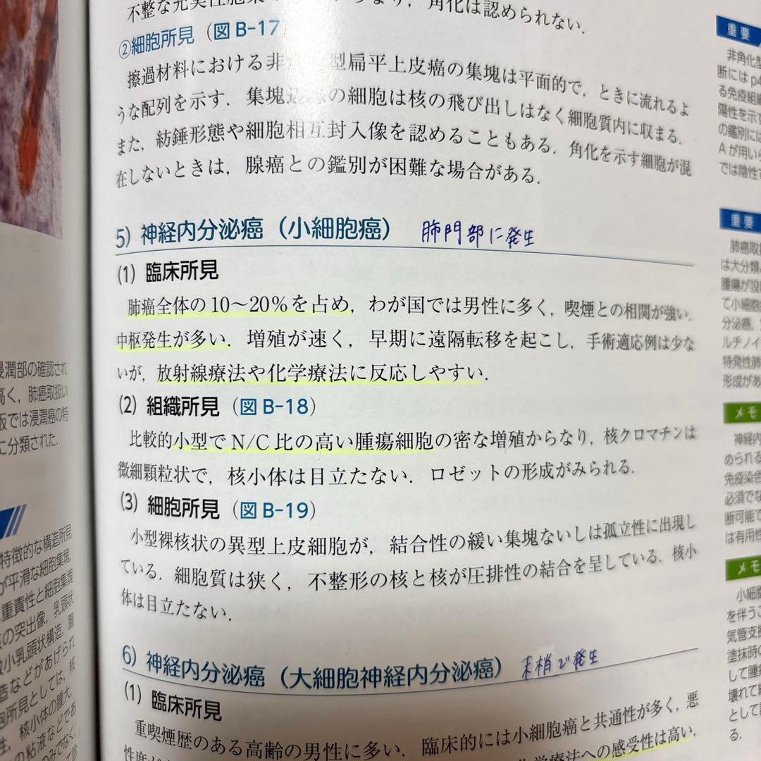 スタンダード細胞診テキスト　第4版