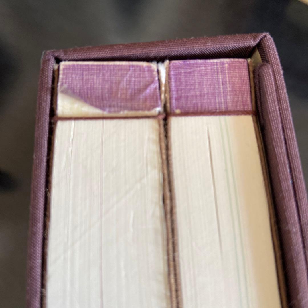 新修 叢林/洞門行法