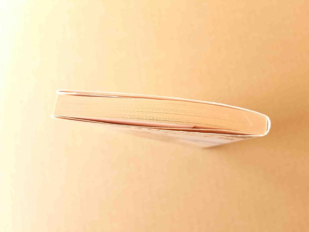 文庫版、レア・入手困難本「振り返れば地平線」 佐々木 譲