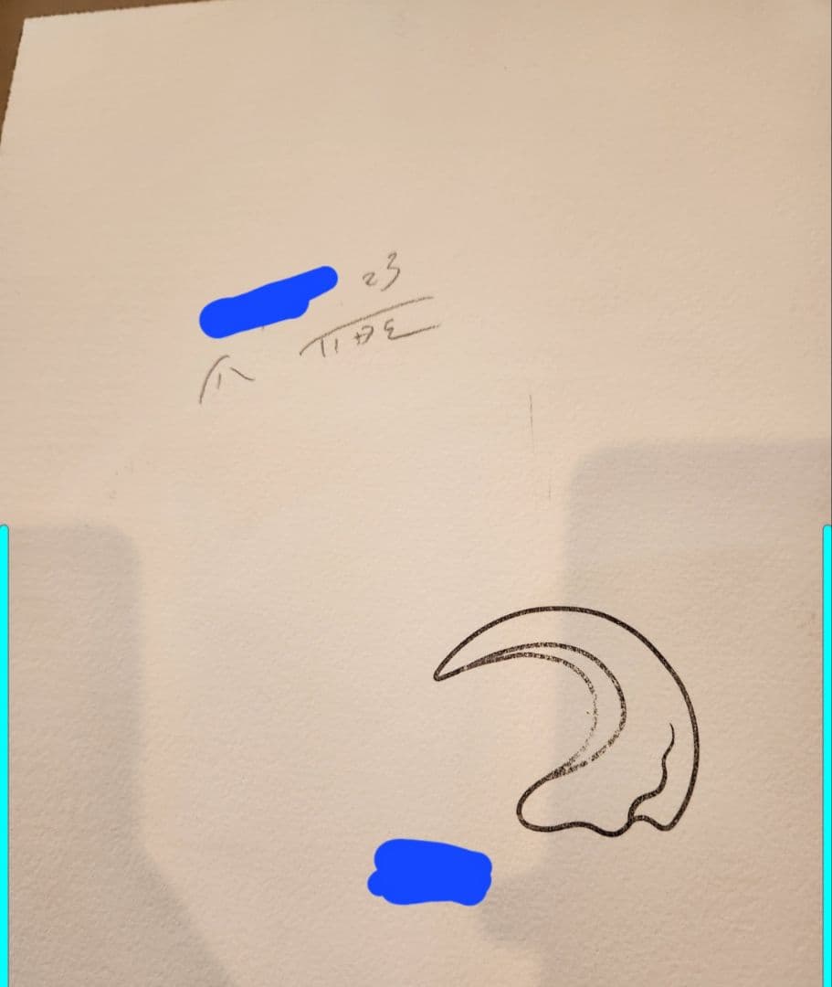 TIDE イデタツヒロ　「craw」　爪　原画