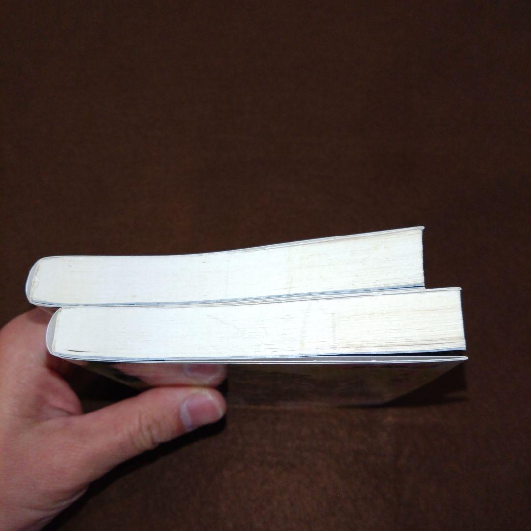 【そこそこ美品】ノベル版 ペルソナ2 罪・罰