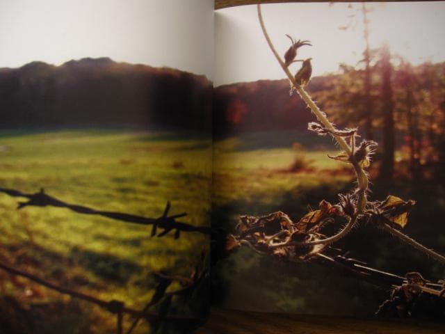 アート・デザイン・音楽 Sun's Coming Up Like a Big Bald Head