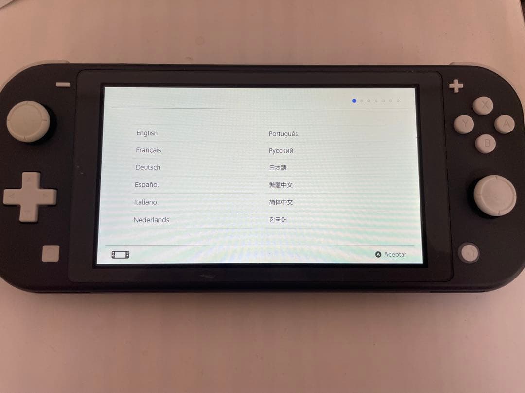 Nintendo Switch Lite 本体 + 充電器 + ケース