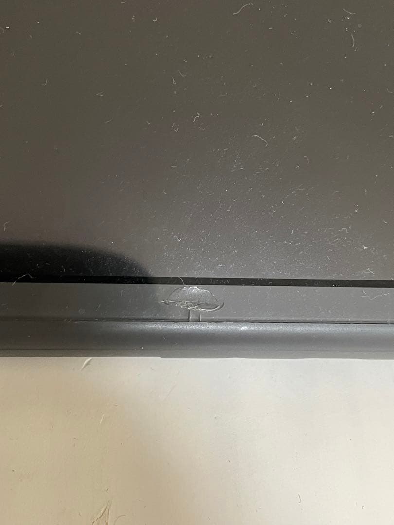 Nintendo Switch Lite 本体 + 充電器 + ケース