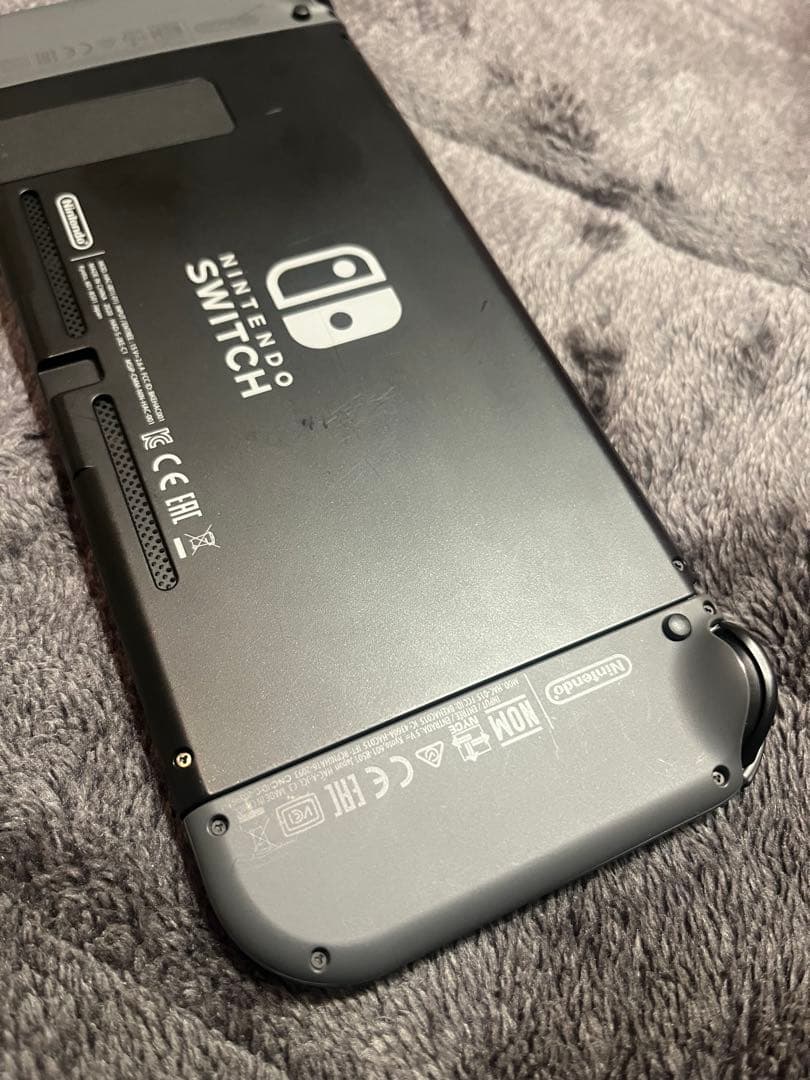 Nintendo Switch 本体 グレー ACアダプター、大人の脳トレ付き