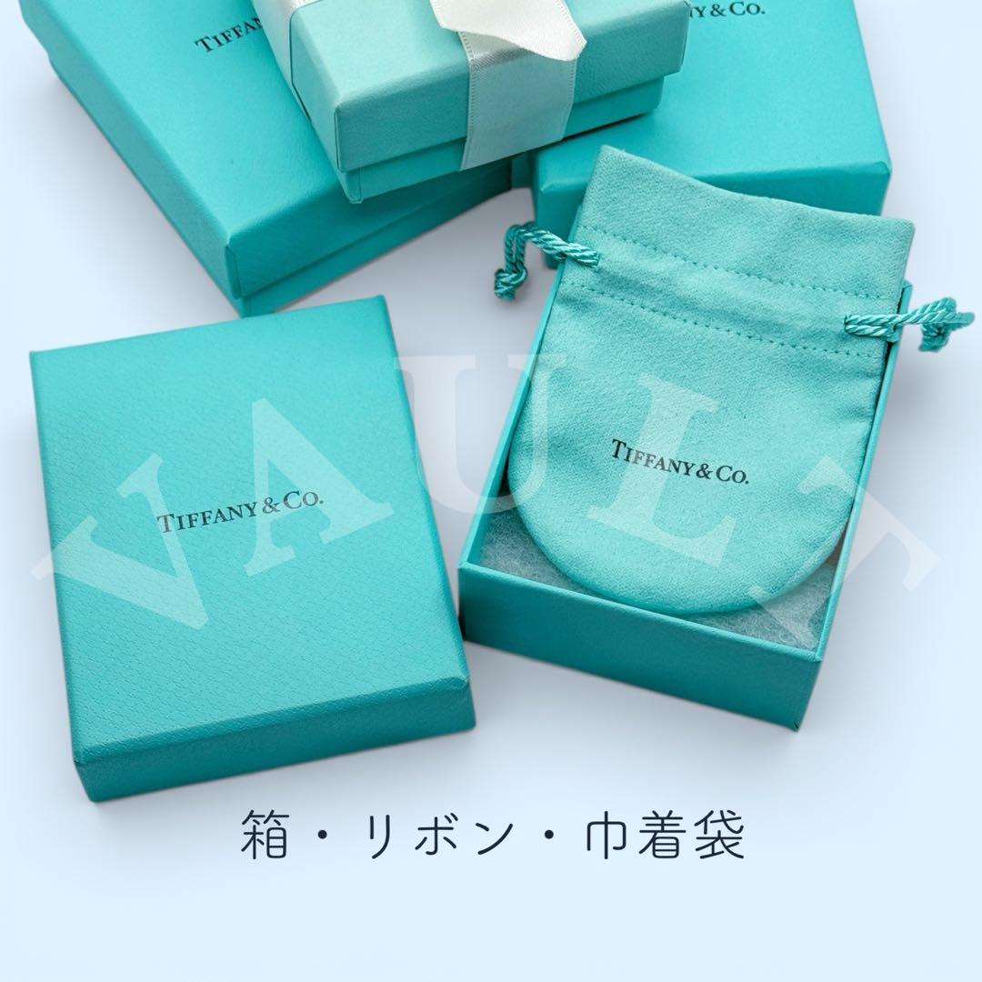 TIFFANY&Co. 希少 極美品 1837エレメントリング Ag925