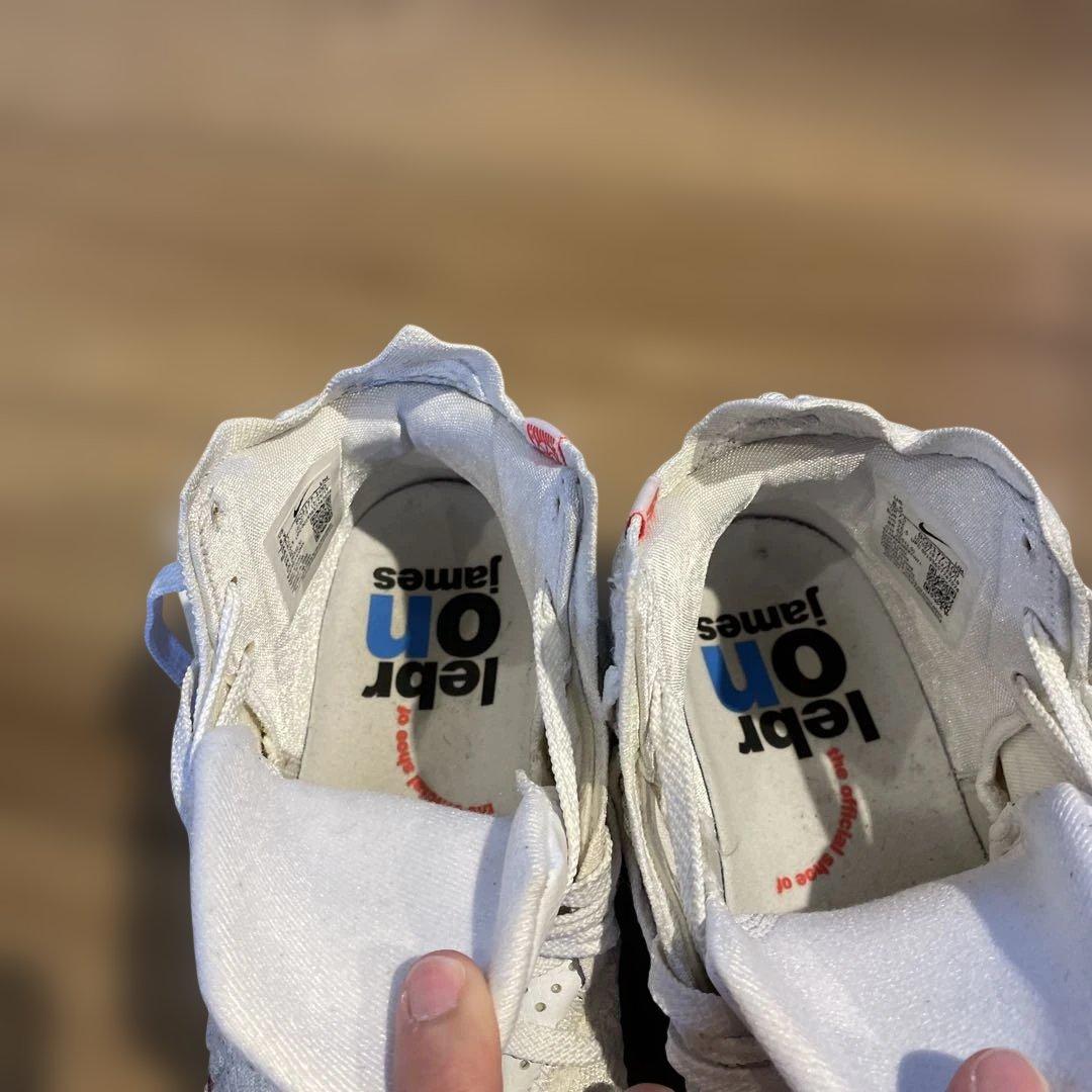 Nike LeBron バスケットボールシューズ