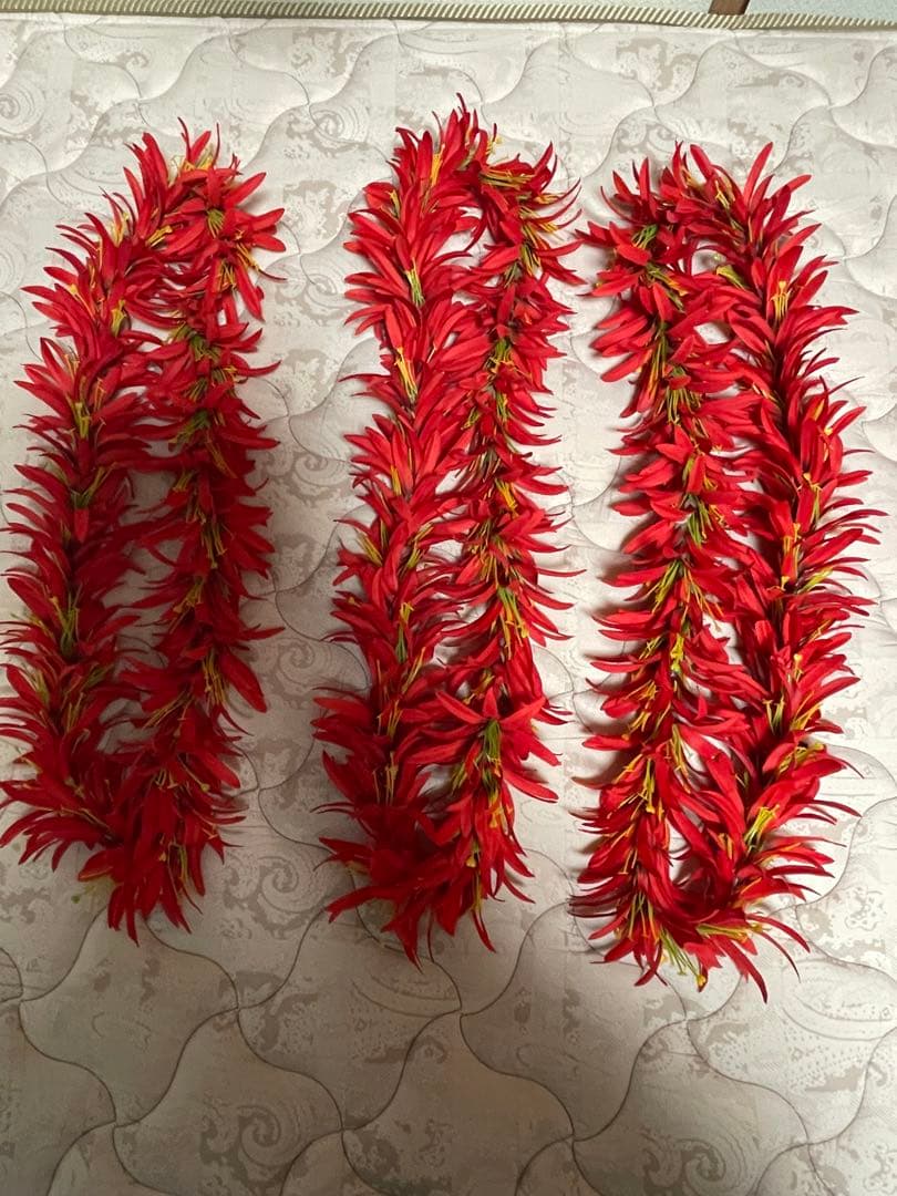 【セット売り】フラダンス用スカート ・黒のトップス