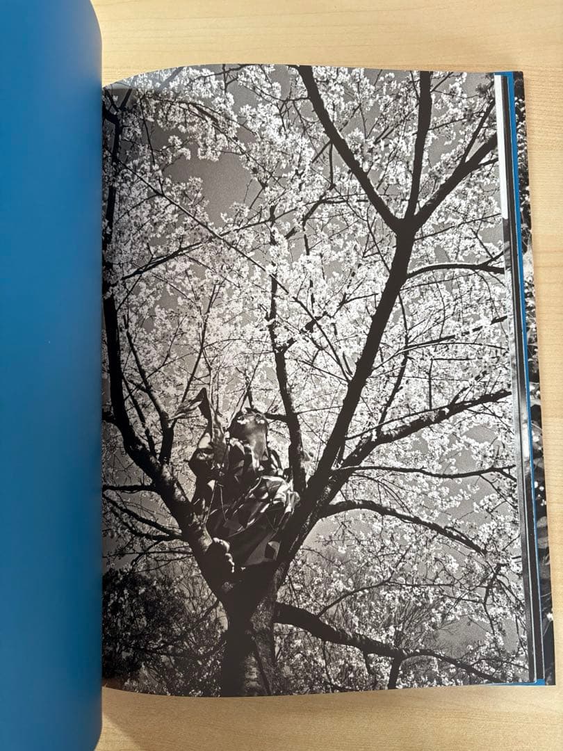 細江英公　鎌鼬