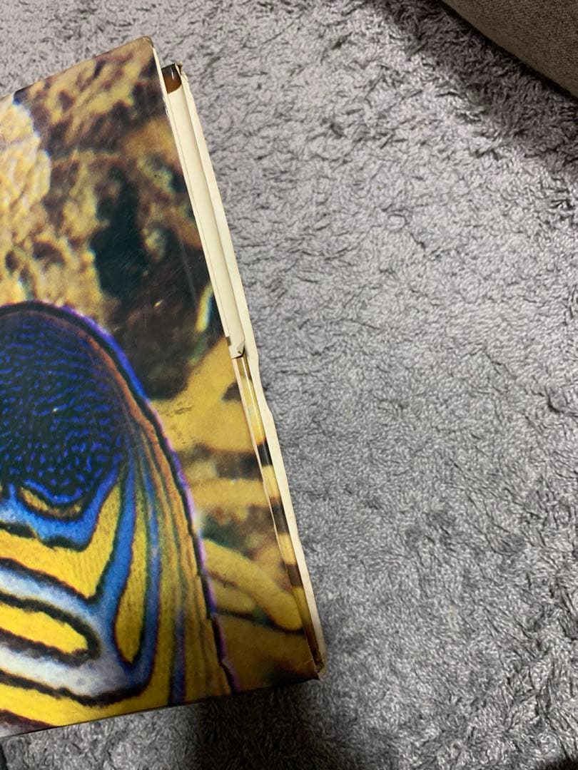 洋書 The Great Barrier Reef by Allan Power