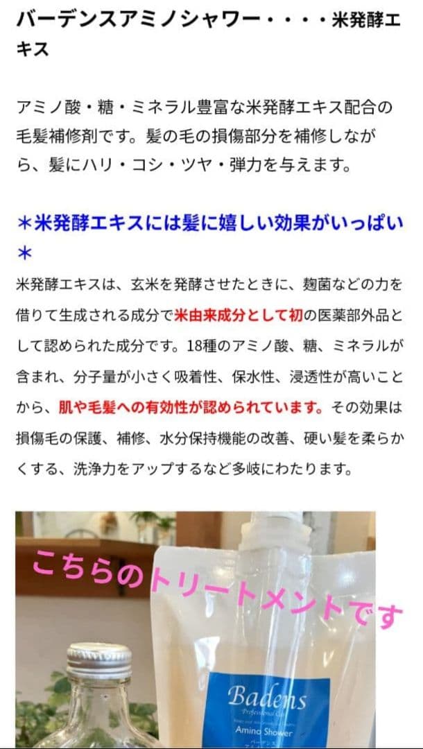 サロン専用 Badens シャンプー&アミノシャワー トリートメント 2本セット