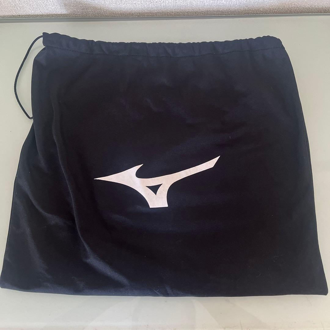 久保田スラッガー　KSG-FGS フェンスグラブ　 ⚠️ミズノのケース付き