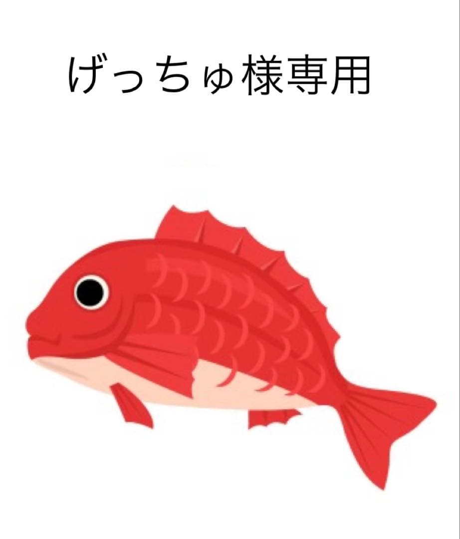 タイラバ　タングステン　げっちゅ