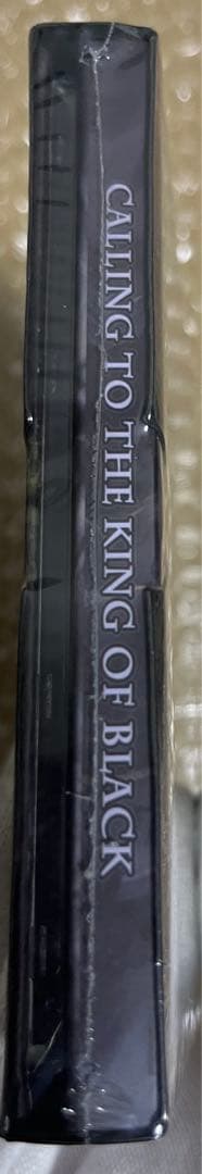 Horror Of Pestilence 廃盤　テクニカル・デスメタル　デスコア