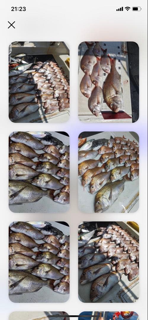 タイラバ　鯛ラバヘッド　鯛ラバ　タングステンシンカー　シルバ30g5個