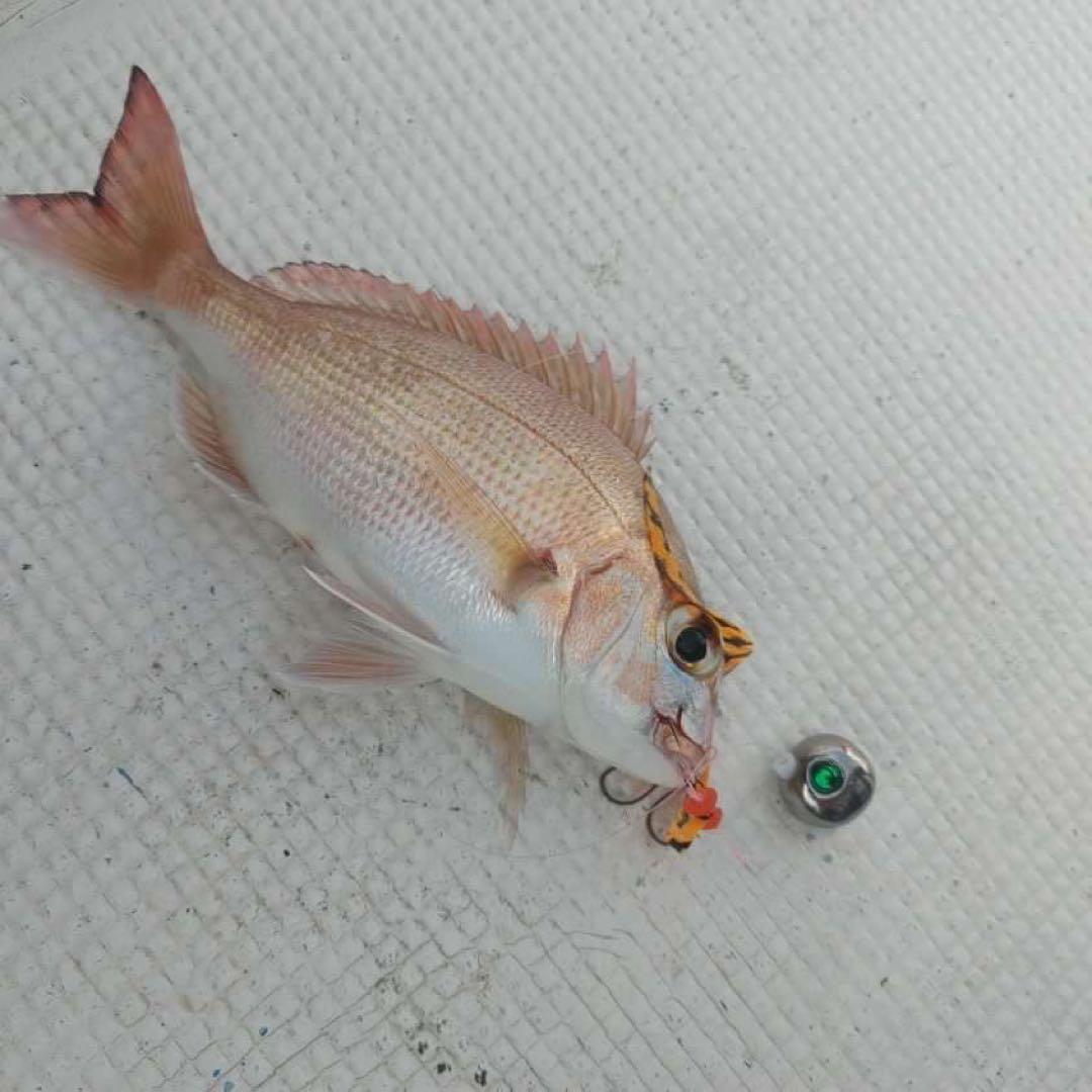 タイラバ　鯛ラバヘッド　鯛ラバ　タングステンシンカー　シルバ30g5個