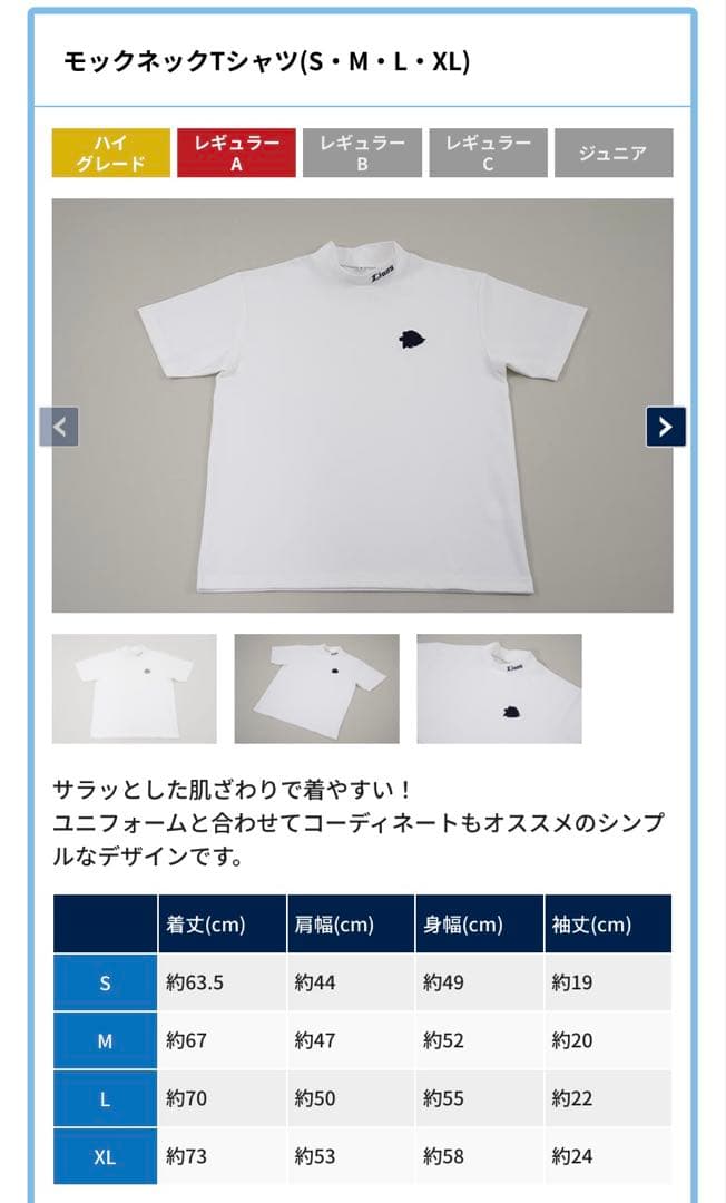 埼玉西武ライオンズ　ファンクラブ入会特典他セット