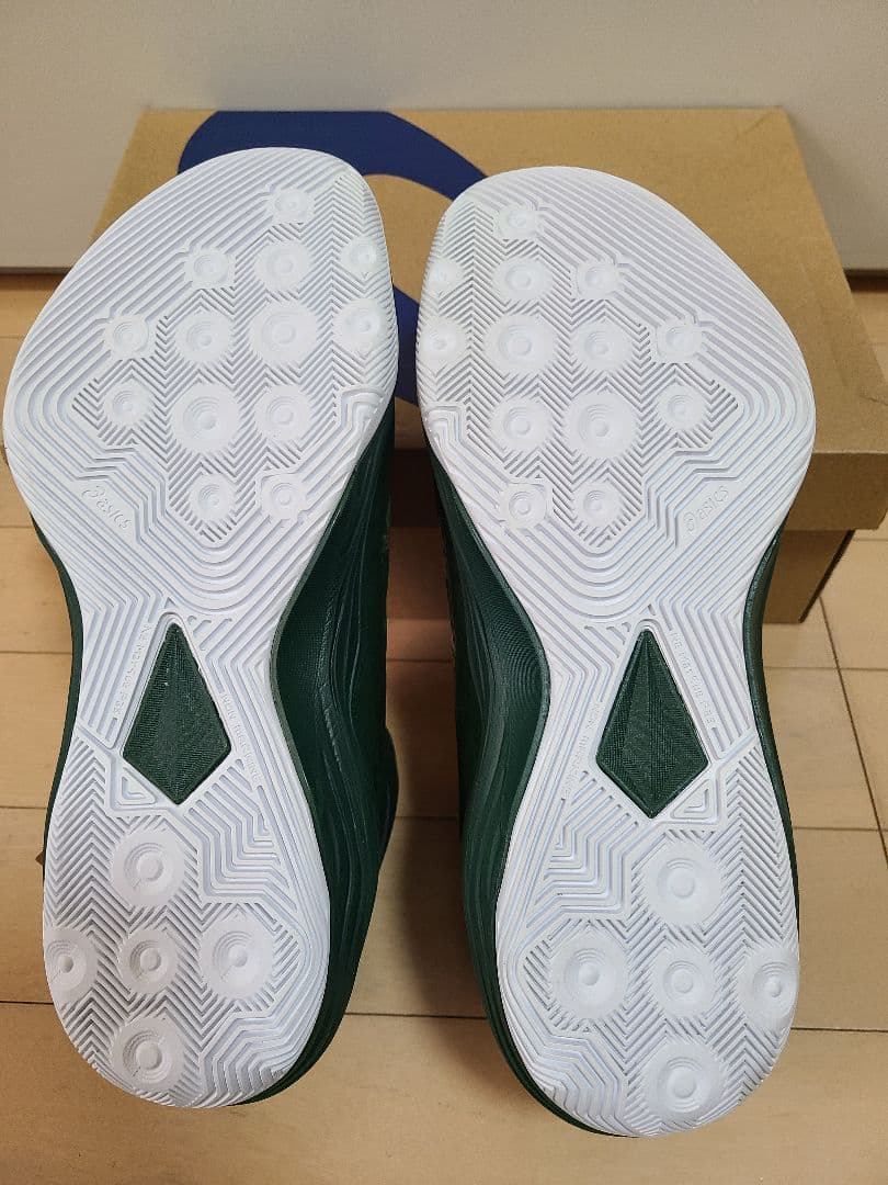 ASICS ノヴァフロー2