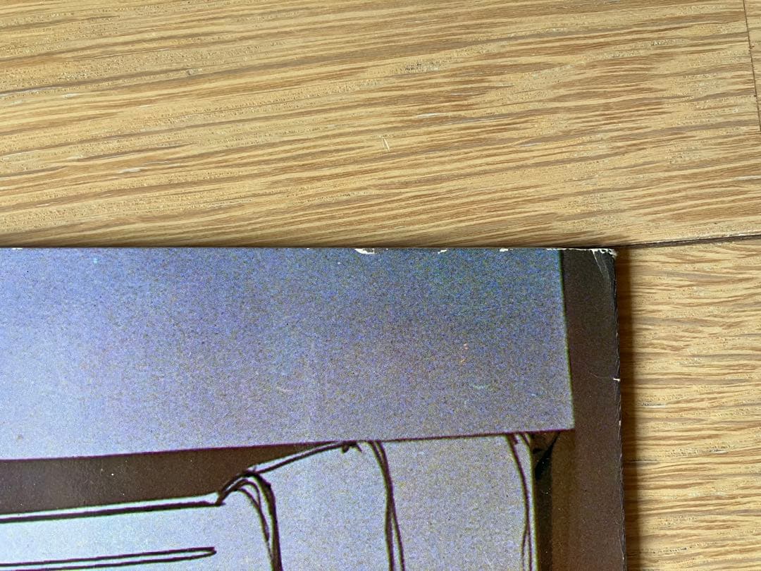 最安値 ネオアコ本掲載 heavenly ヘブンリー ベルセバ 小山田圭吾