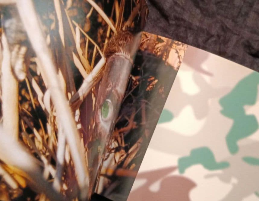 洋書ブライス人形写真集 this is Blythe by Gina Garan