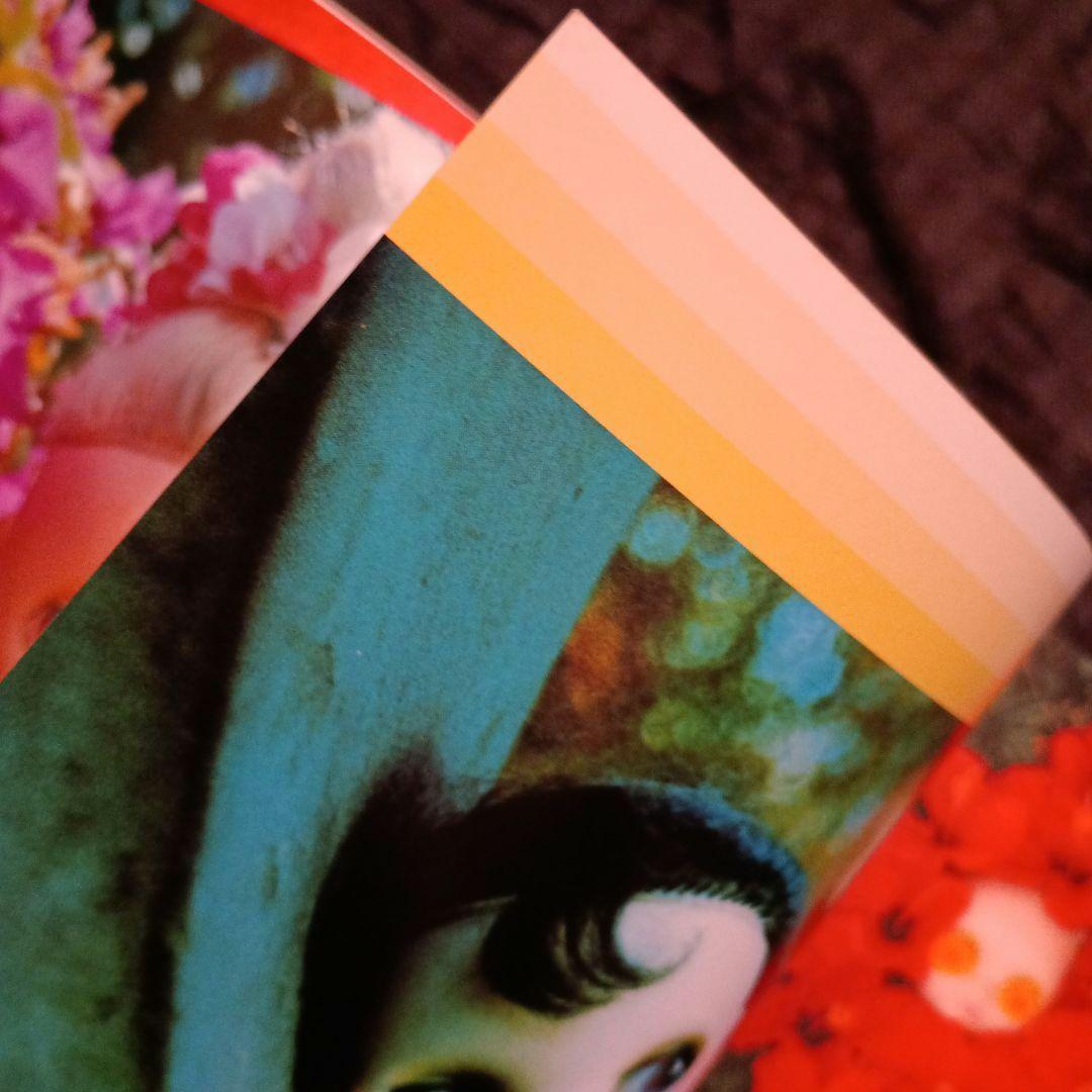 洋書ブライス人形写真集 this is Blythe by Gina Garan