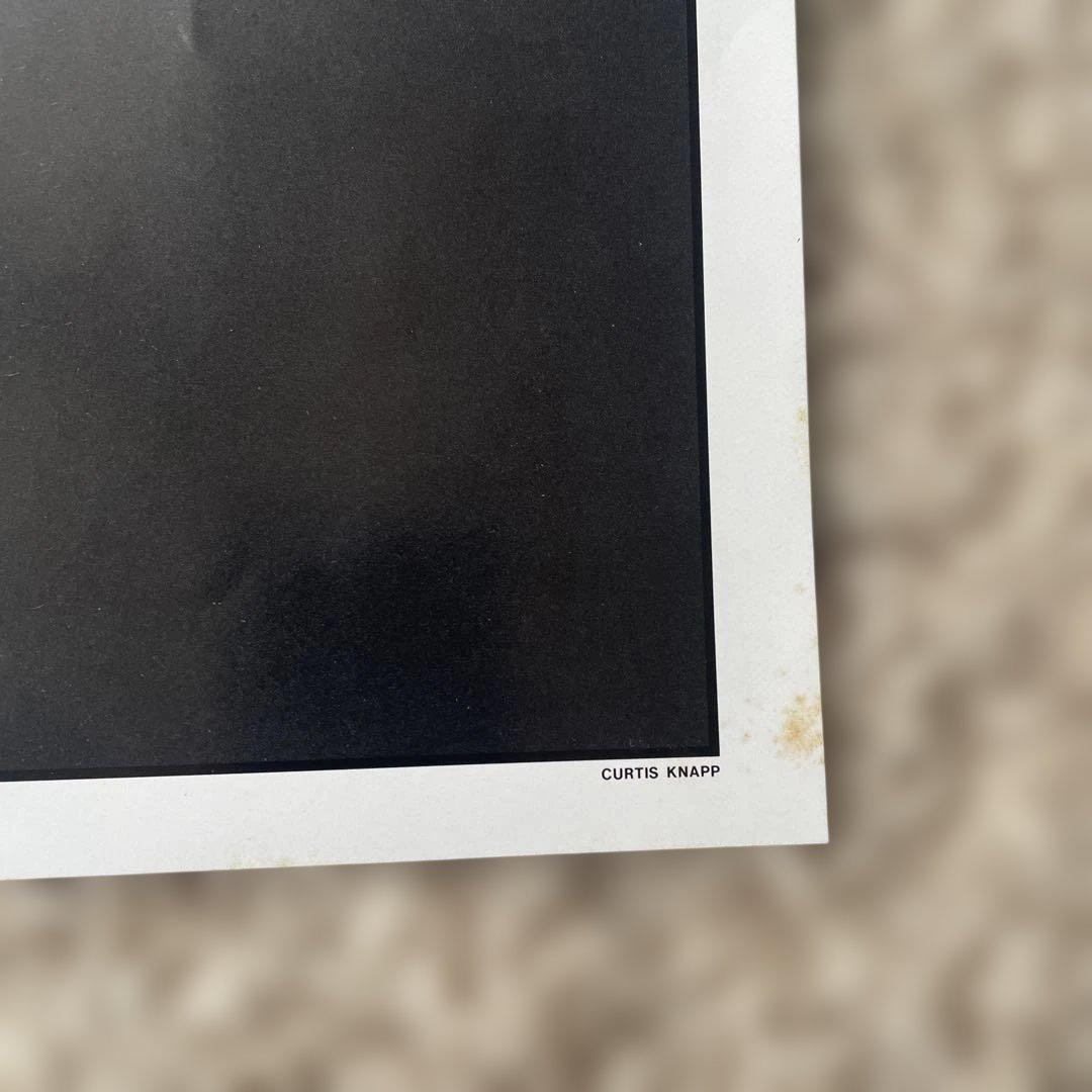 細野晴臣　S•F•X　LP　レコード　HARUOMI HOSONO　シュリンク付