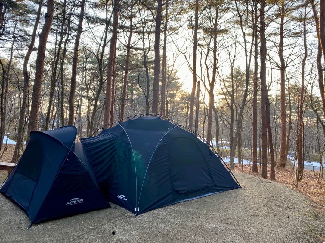 スームルーム　Viking hub セット販売