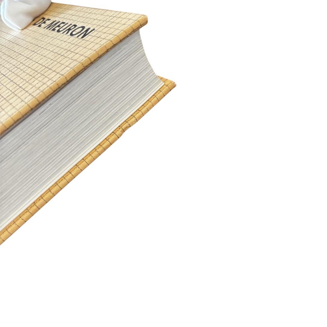 ヘルツォーク＆ド・ムーロン『ドローイング』