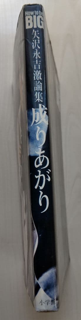 成りあがり 矢沢永吉激論集 How to be Big