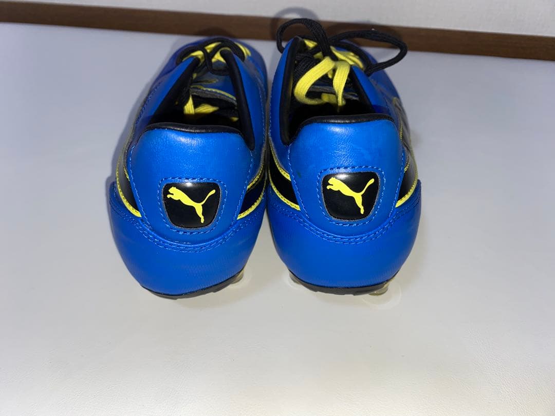 パラメヒコライト 28.5cm