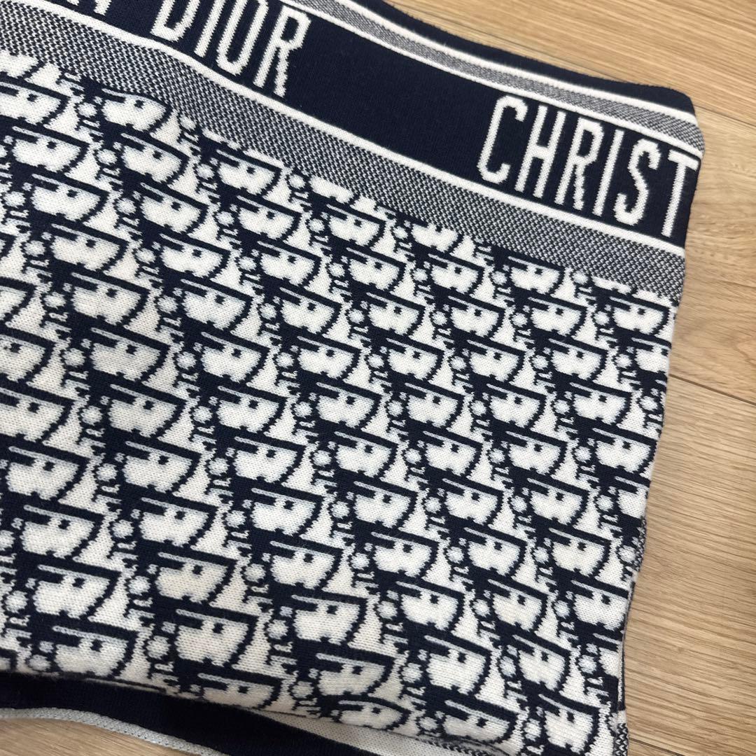 三連休限定値下げ中 CHRISTIAN DIOR ロゴプリント　膝掛け