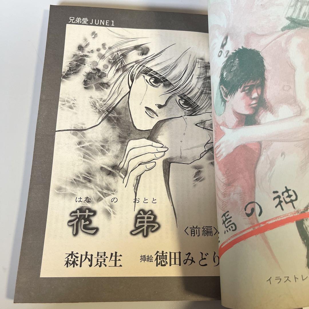 【80年代 貴重 】June ジュネ 1987年 11月 Ｎｏ．37 大沢健 他