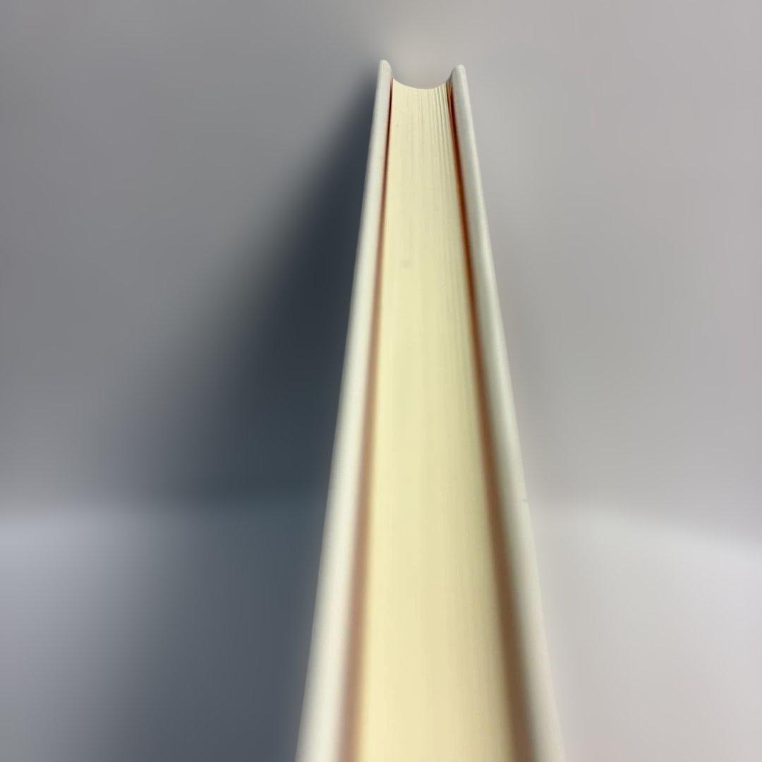 ネーデルラント美術の宇宙 ネーデルラントから地中海世界、パリ、そして神聖ローマ…