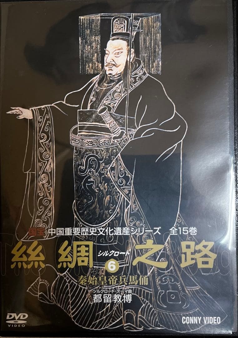 絲綢シルクロード之路  DVD全15卷