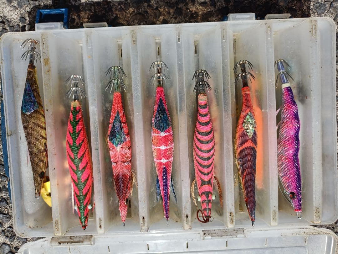 餌木 セット１４本