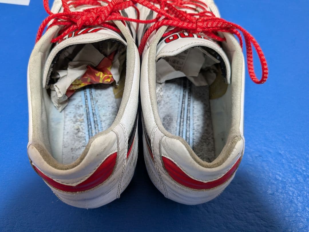 ミズノモレリア２ジャパン