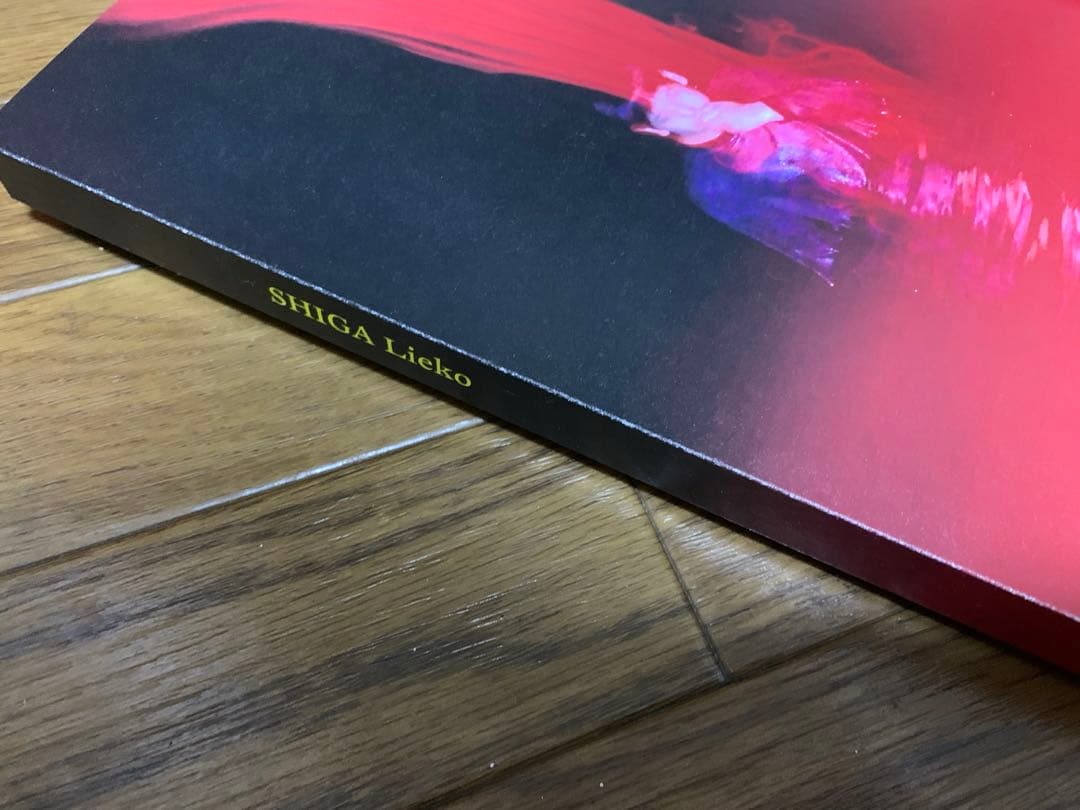 志賀理恵子 Tokyo Contemporary Art Award 作品集