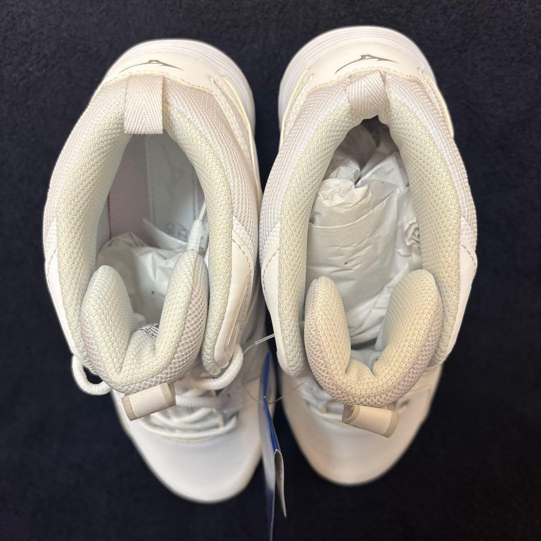 ミズノ　ウェーブダイバースLG4 24.0