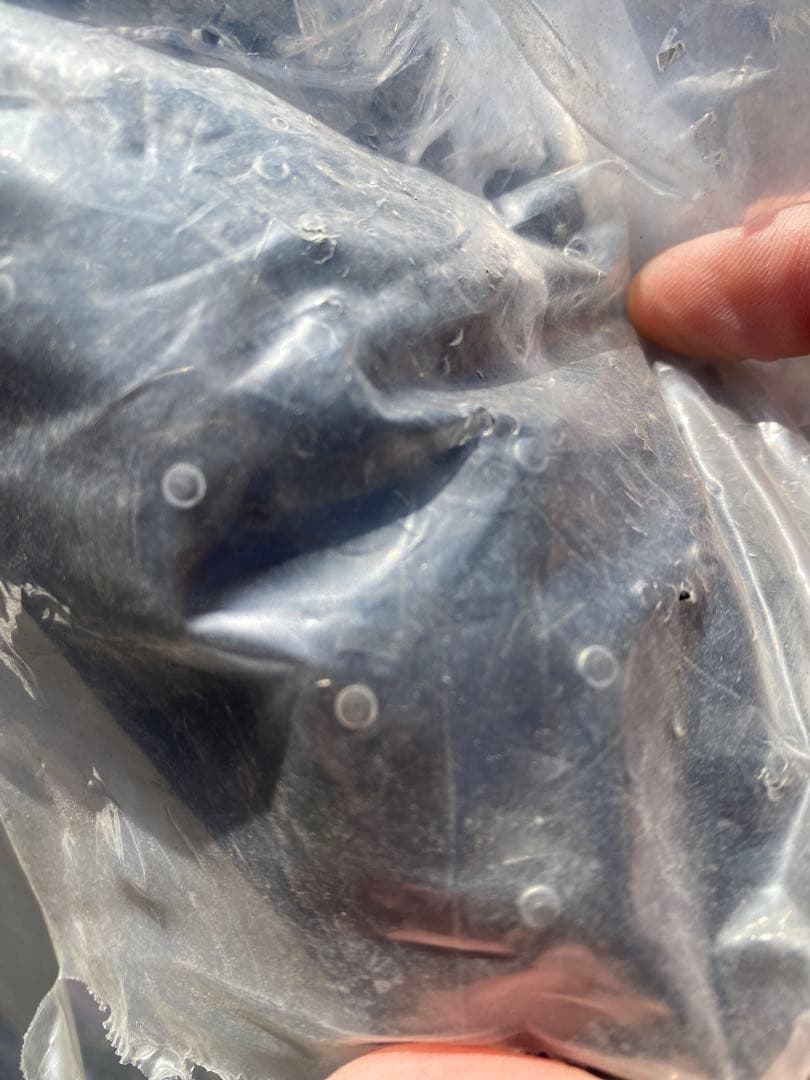 SCHWALBE ICE SPIKER PRO 27.5 x 2.25 新品2本