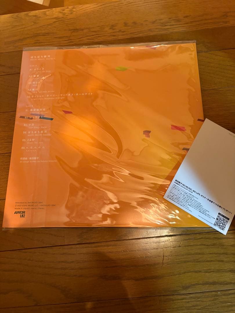 柴田聡子 ぼちぼち銀河 LPレコード　特典付き