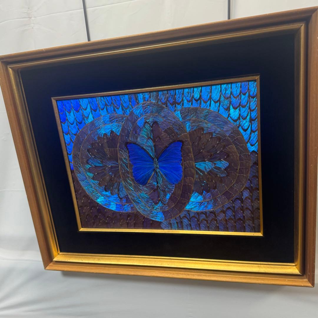 RYU【希少】額装 モルフォ蝶 羽絵 アート アンティーク インテリア
