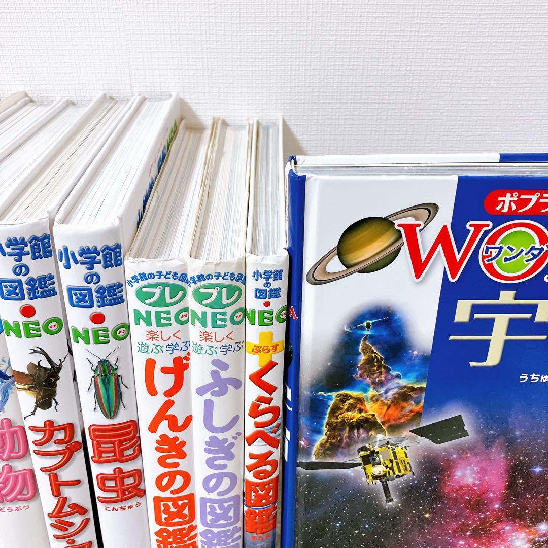 小学館 図鑑NEOシリーズ　プレneo 図鑑　図鑑まとめ　セット　ワンダ　ポプラ