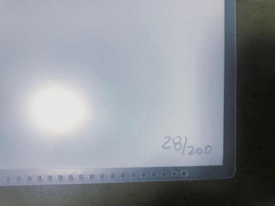 サムデイ SOMEDAY 世界限定２００セット スザンナ・ホフス