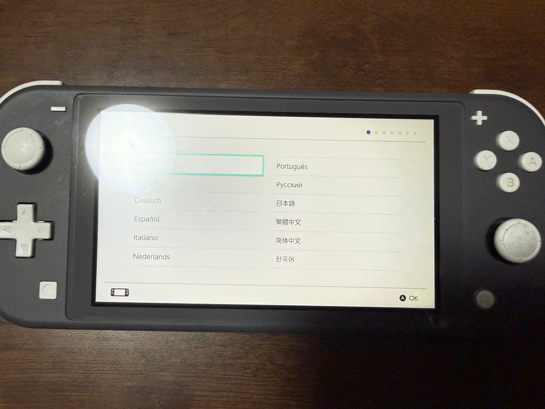 Nintendo Switch Lite グレー 本体、充電器、外箱付き