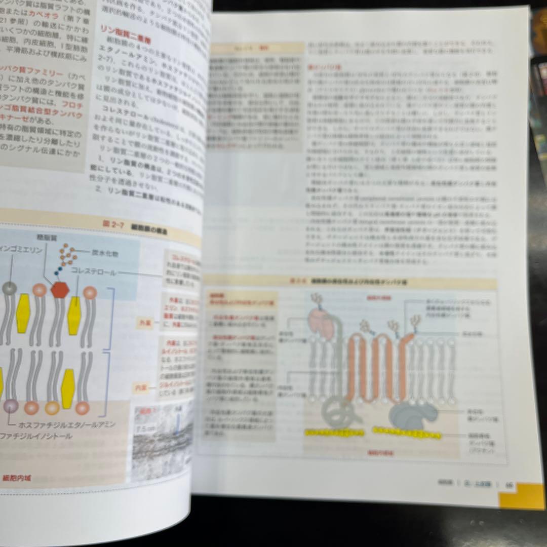 Histology and Cell Biology 第三版