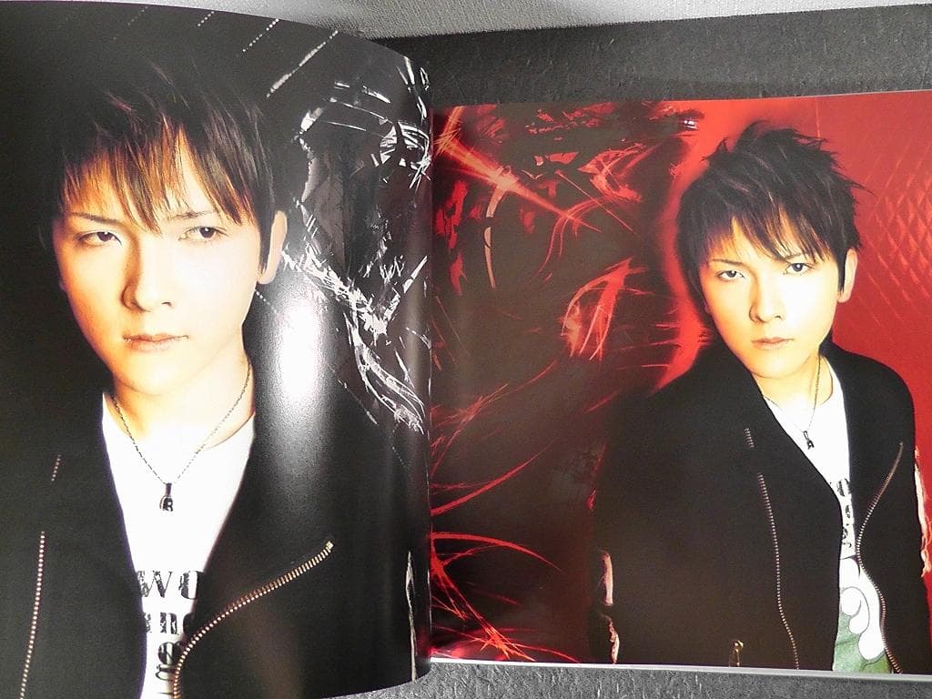 DVD付き】 PIERROT Dictators Circus 7 パンフレット