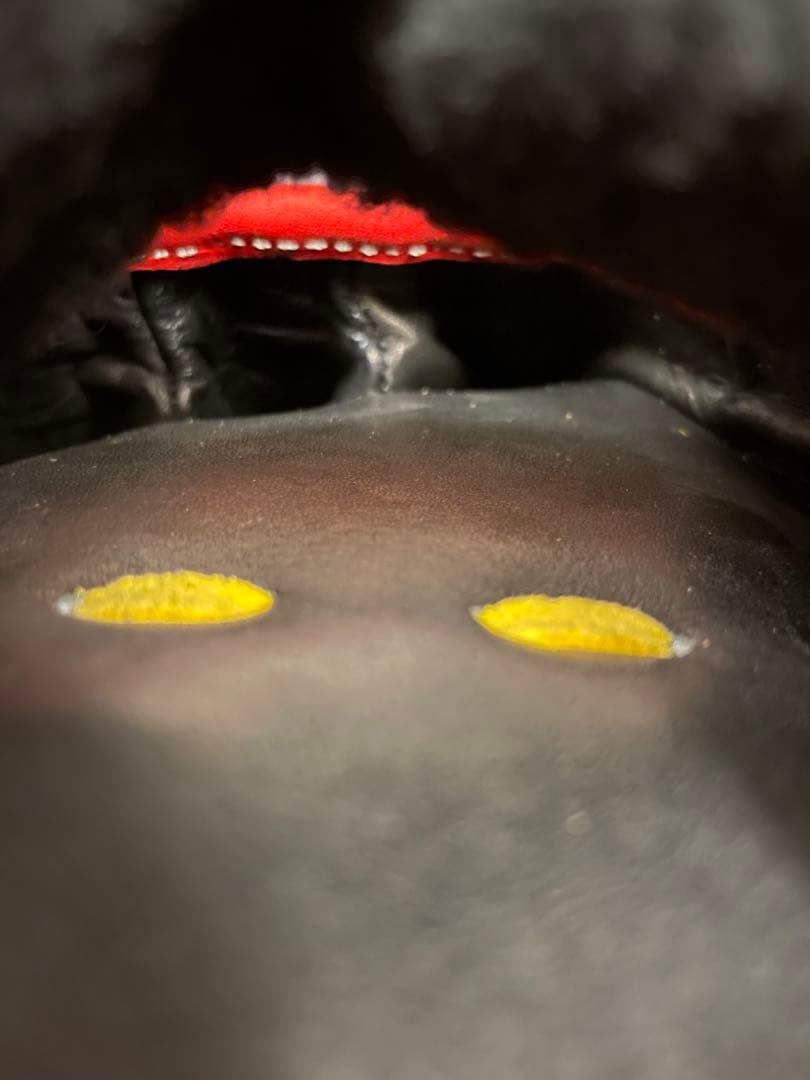 新品　プロエッジ　野球 硬式グローブ 一般用　大人　右投げ　グラブ　内野　右利き