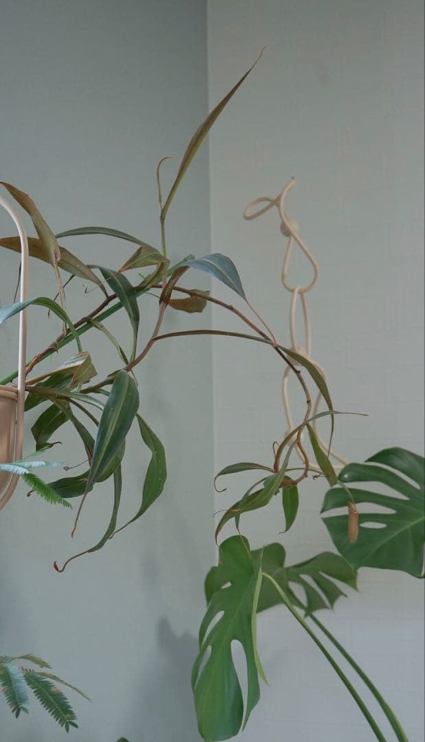 takayokatayama モビールL