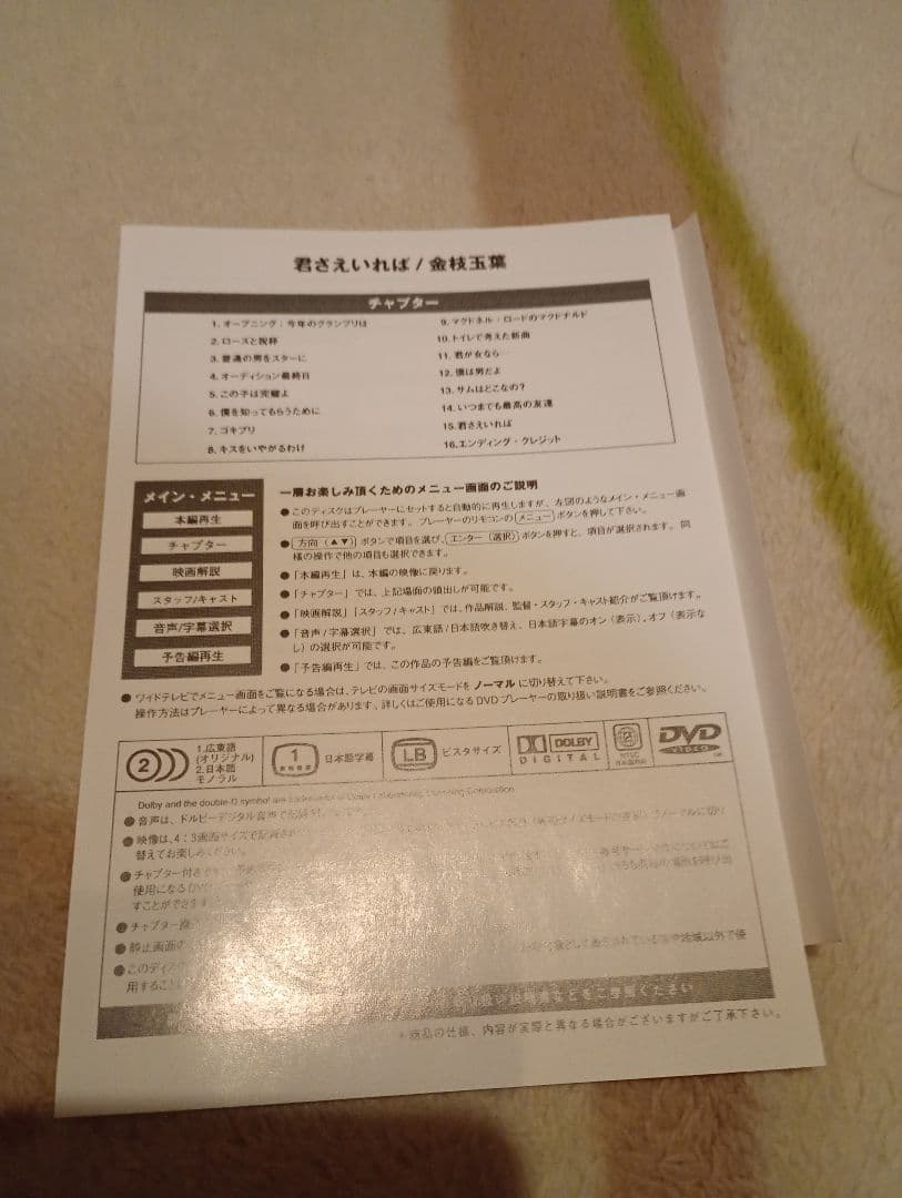 香港映画　君さえいれば 金枝玉葉DVD＋パンフレット＋チラシ