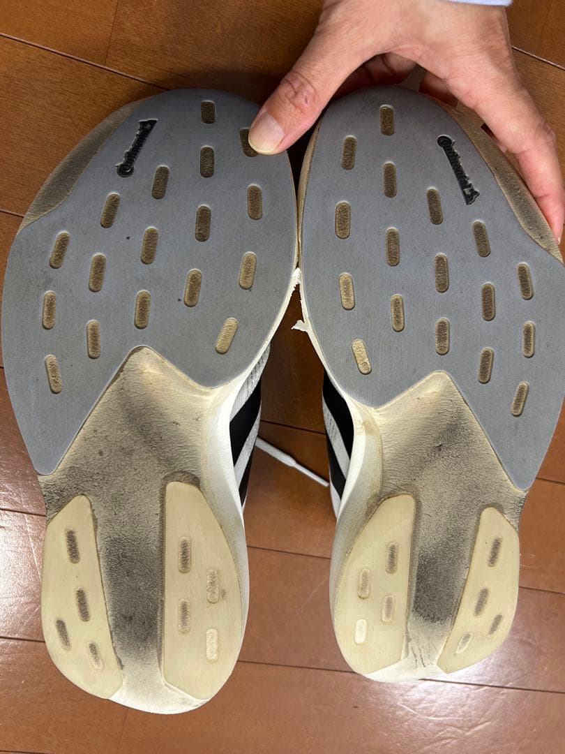 adizero Evo Sl 24.5cm アディゼロ